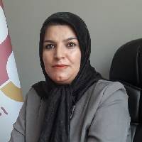 طاهره ولی